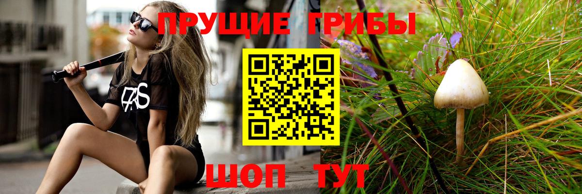 Галлюциногенные грибы прущие грибы  Вход с VPN  Когалым  Псилоцибиновые грибы Psilocybe 