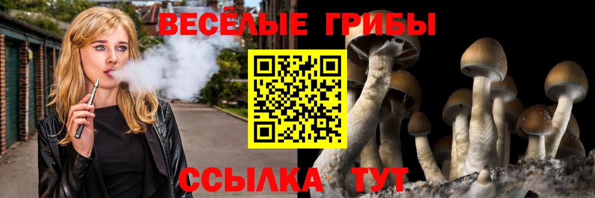 Псилоцибиновые грибы GOLDEN TEACHER Когалым